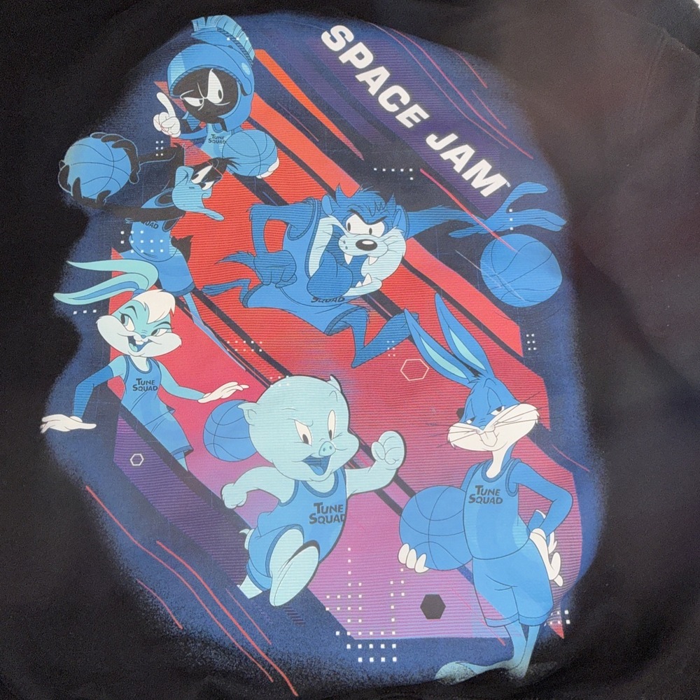 Space Jam A New Legacy Tune Squad Hoodie Adult L Large Unisex Looney Tunes Bugs - Picture 3 of 7
